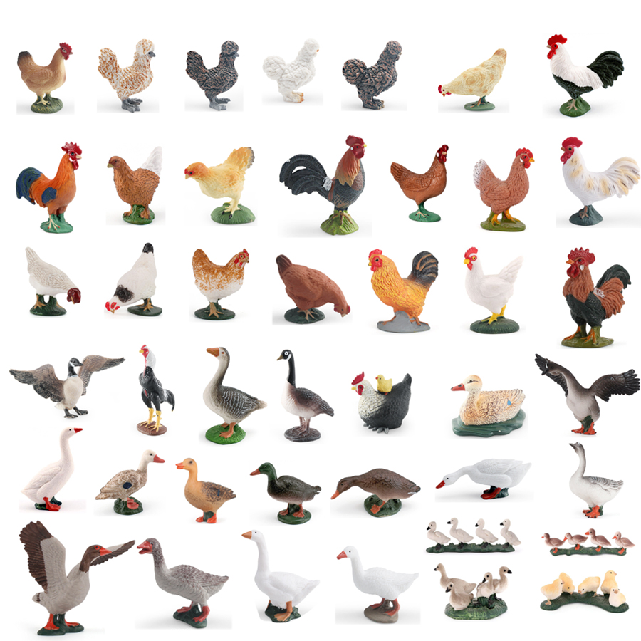 Simulation Farm Poultry Animal - Interior Design House บทวิจารณ์และราคา