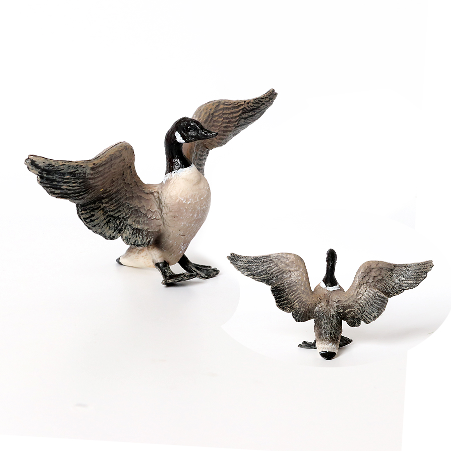 Simulation Farm Poultry Animal - Interior Design House บทวิจารณ์และราคา